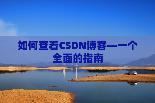 如何查看CSDN博客—一个全面的指南